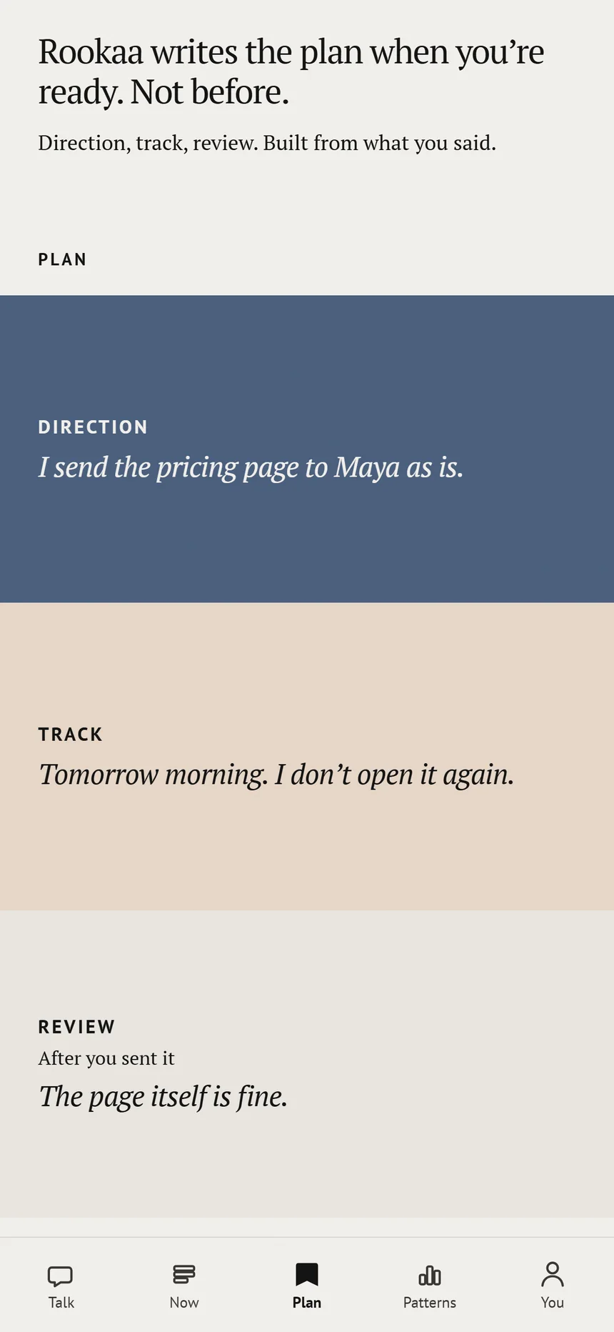 Rookaa’s Plan tab. Three bands, Direction, Track and Review, filled from the person’s own words.